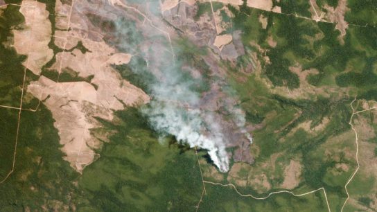 Raging Wildfires in the Amazon Send a Planetary Warning
