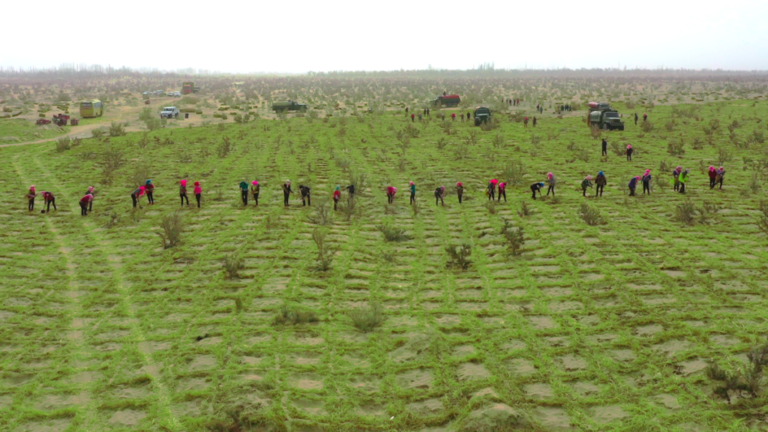 fintech company greening china