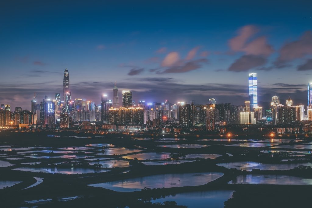 Shenzhen Skyscrapers Threaten Migratory Bird Populations in Hong Kong Wetland
