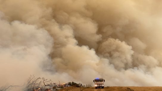 Climate Crisis Now: The Australia Bushfire Catastrophe