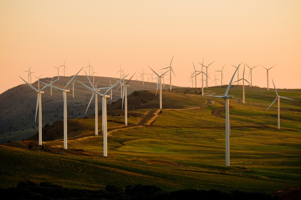 clean energy growth; renewable energy; wind energy