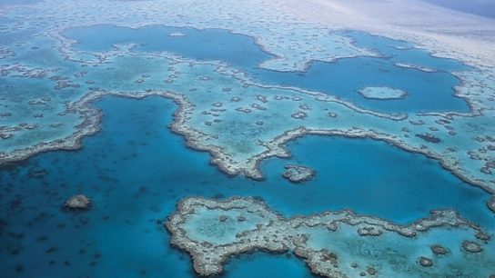 How Can The Great Barrier Reef be Saved?