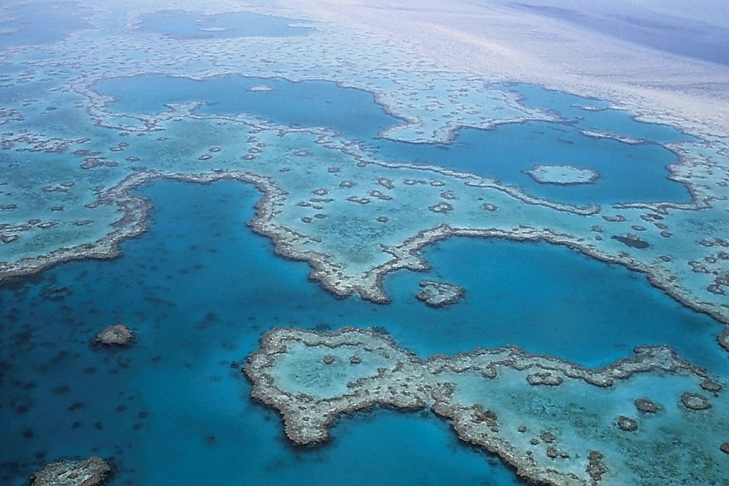 how can we save the great barrier reef