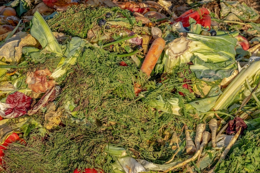 singapore food waste