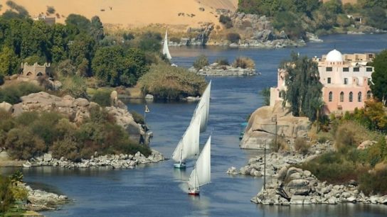 Alarm as Report Finds 75% of Fish in The Nile River Contain Microplastics