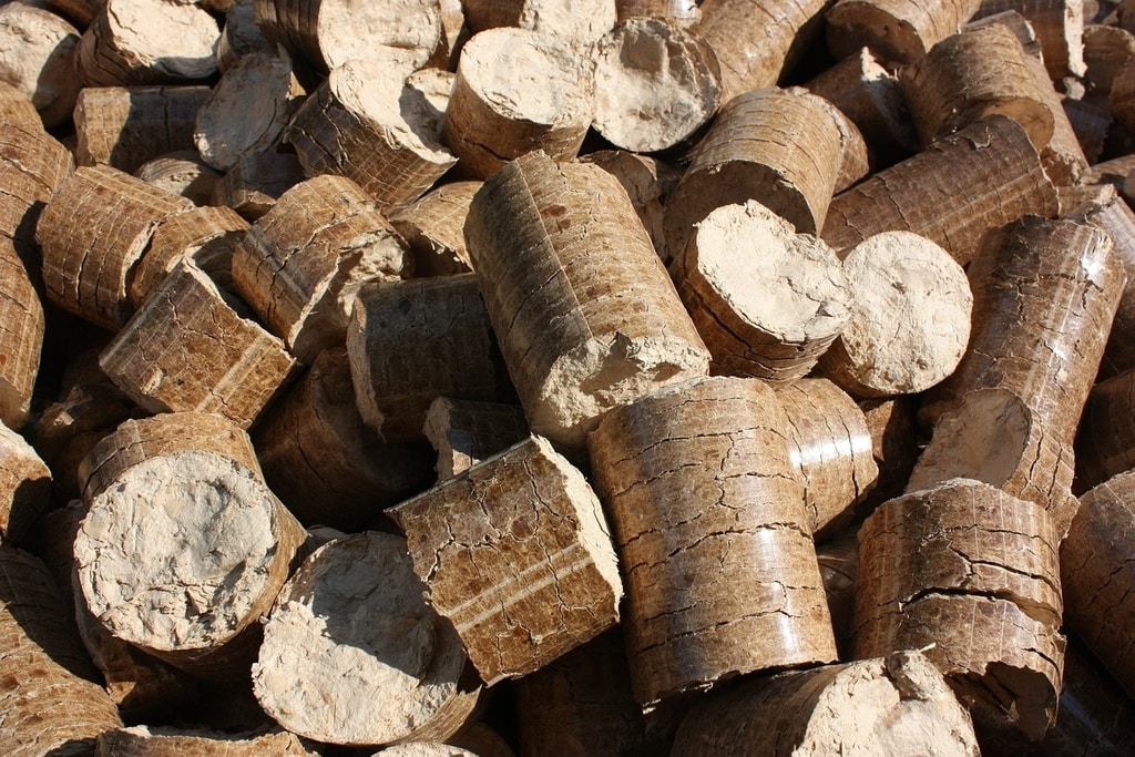 forest cover wood biomass