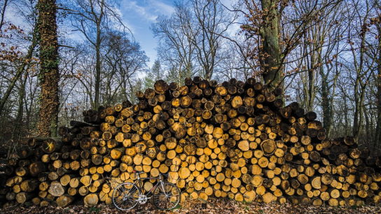 How Developed Countries are Exploiting Developing Countries for Biomass Energy