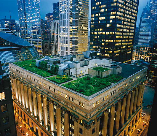 Chicago City Hall in Chicago green roofs
