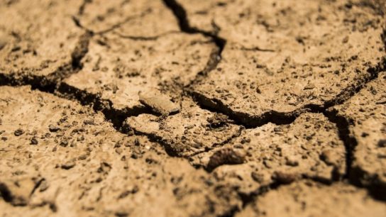 The Impending Climate-Driven Megadrought and its Risks