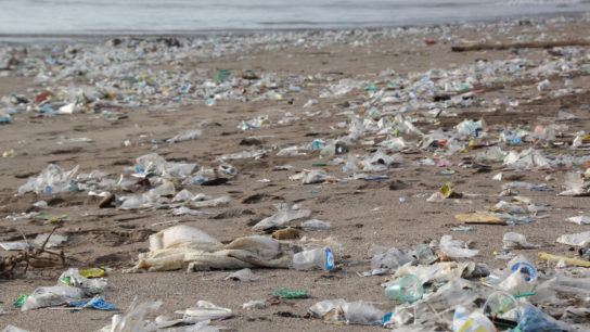 Ocean Plastic Pollution Is On Track to Triple By 2040