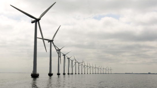 Offshore Wind Farms: An Ecological Problem or Environmental Solution?