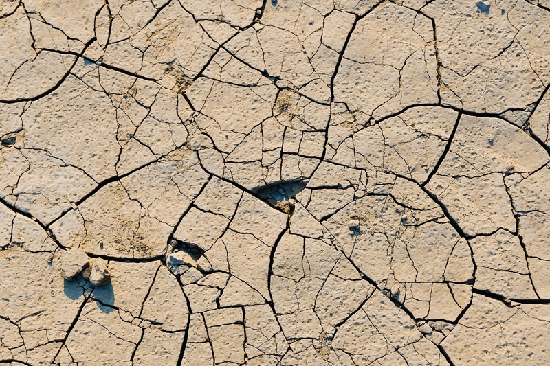 Amazon River drought