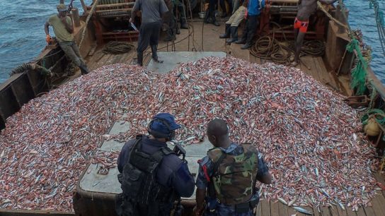 New Paper Highlights Spread of Organised Crime From Global Fisheries