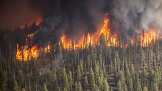 What Arctic Wildfires Mean For The Fight Against Climate Change