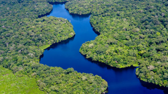 Larger Part of Amazon at Risk of Crossing Tipping Point Than Previously Thought- Study