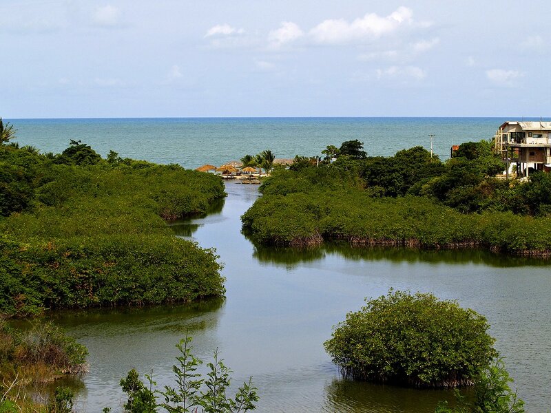 brazil mangroves protections