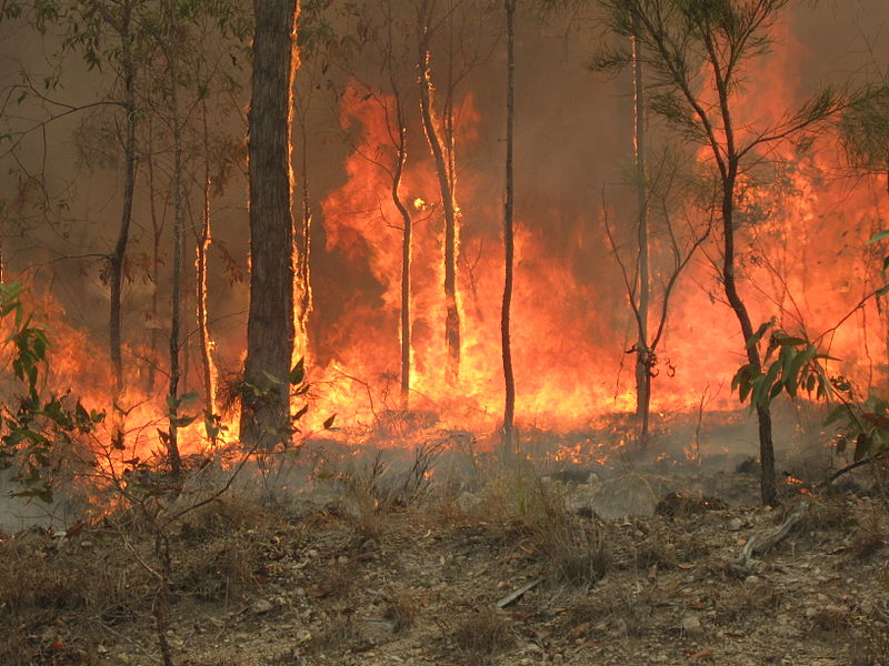 australia bushfires climate change