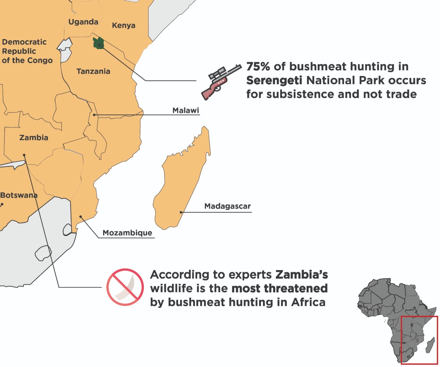 Mapping the African Bushmeat Crisis | Earth.Org