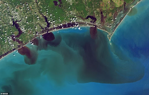 ocean pollution satellite imagery
