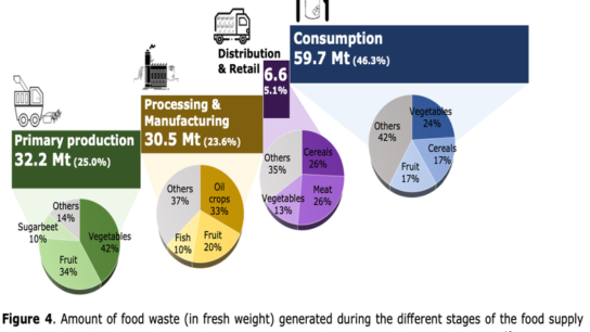 Food Waste and Consumer-Level Solutions
