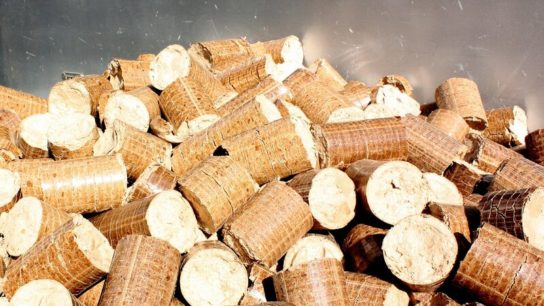 Carbon Neutrality: Why the Wood Pellet Business Could be Harmful for the Environment