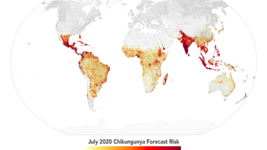 Predicting Disease Outbreaks With Satellite Data