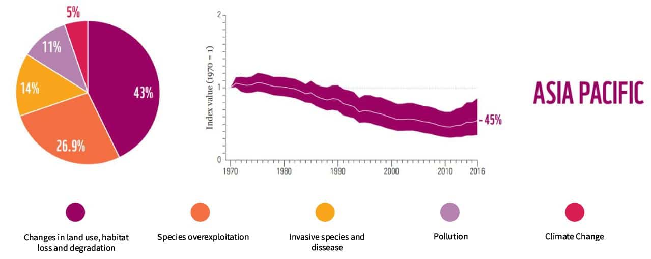 The Statistics of Biodiversity Loss [2020 WWF Report] | Earth.Org