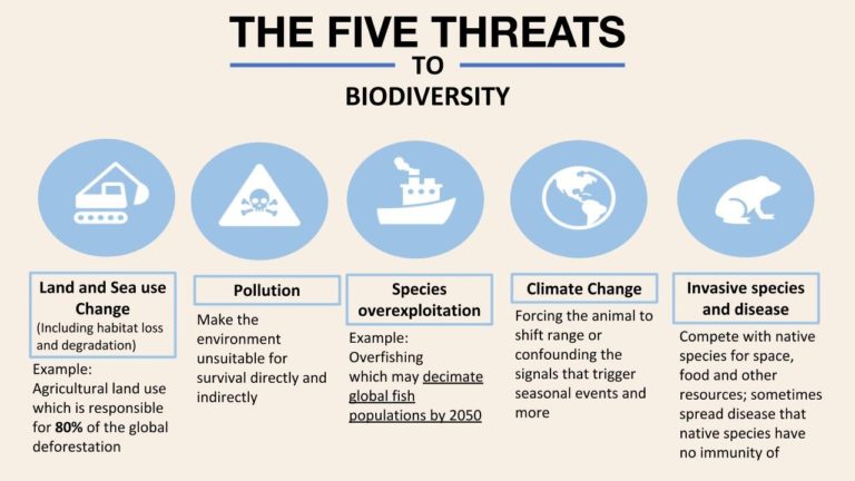 The Statistics of Biodiversity Loss [2020 WWF Report] | Earth.Org