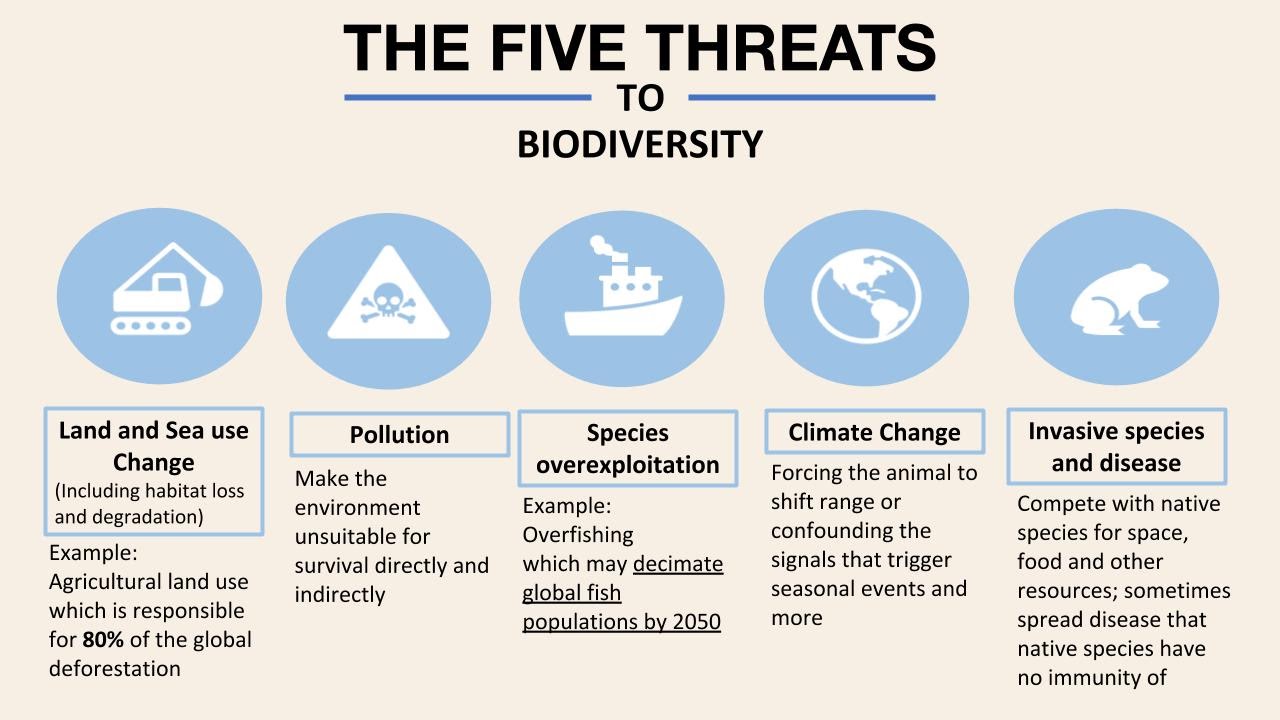 The Statistics of Biodiversity Loss [2020 WWF Report] | Earth.Org