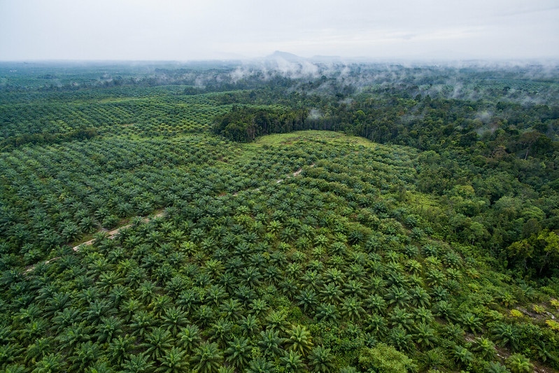 6% of Earth’s Protected Land is Used to Grow Crops, Study Finds