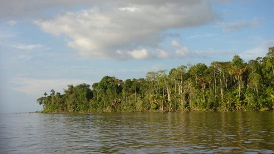 Lack of Protection Leaves Spain-Size Swath of Brazilian Amazon Up for Grabs