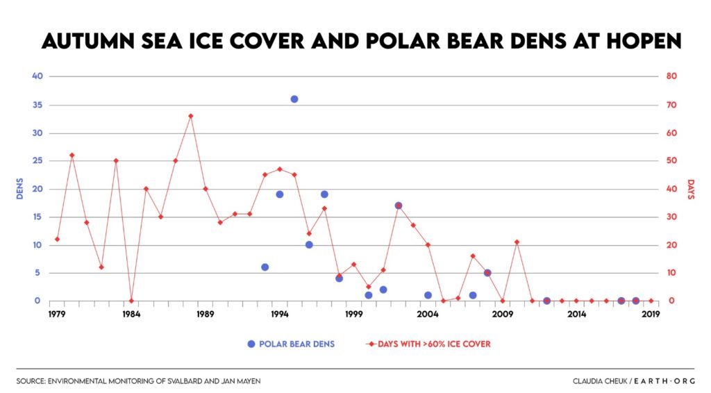The Effect Of Sea Ice Decline On Polar Bear Habitats Past Present Future