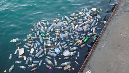 Ocean Acidification Linked to Plastic Pollution- Study