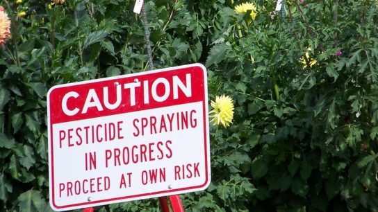 Agriculture Companies Are Using AI to Create Sustainable Pesticides