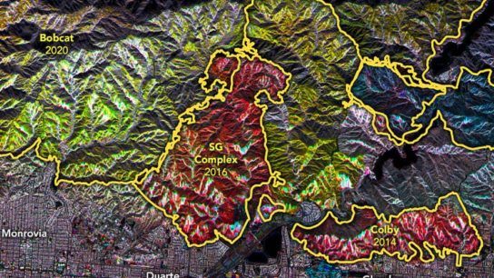 Satellite Imagery and Post-Fire Forest Recovery