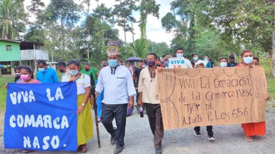 Indigenous Community Wins Recognition of its Land Rights in Panama