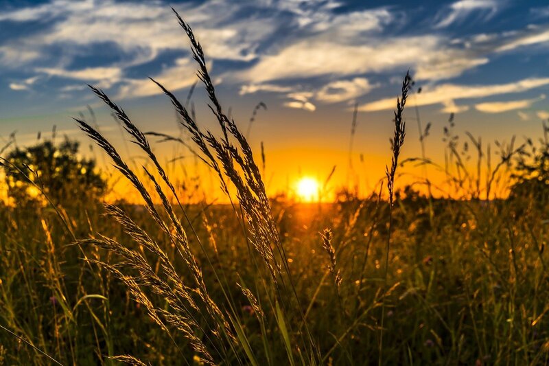 The Sun is Entering a New Cycle- What Does This Mean?
