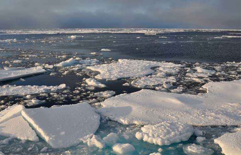 As Arctic Sea Ice Hits Annual Maximum, Concern Grows Over Polar Ice Loss: Studies