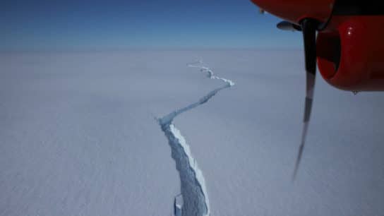 An Iceberg Bigger Than New York City Broke Off an Ice Shelf in Antarctica