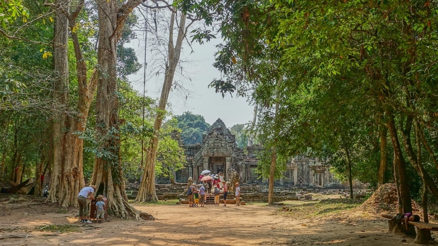 What’s Happening in Cambodia’s Forests?