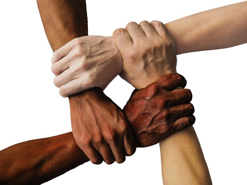 Anatomy Of Action Initiative: 5 Simple Steps to a More Sustainable Life