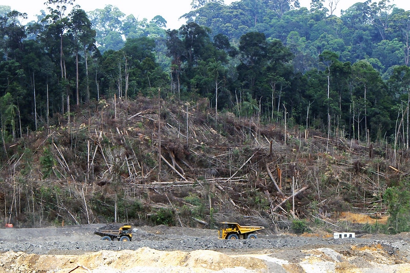 Illegal Coal Mine Tunnels Threaten a Village in Sumatra