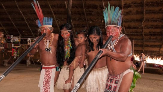 Landmark Decision: Brazil Supreme Court Sides With Indigenous Land Rights