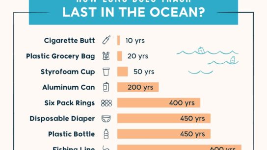 Six Wild Ways We’re Cleaning Up Ocean Plastic
