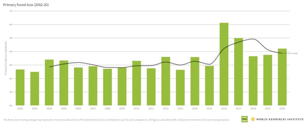 deforestation primary forest 2001 - 2020 tropical forest loss