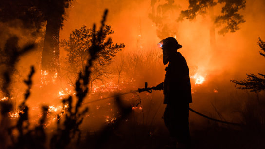 15 Largest Wildfires in US History