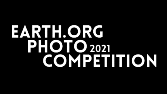 Earth.Org Photography Competition 2021: Judges, Participants
