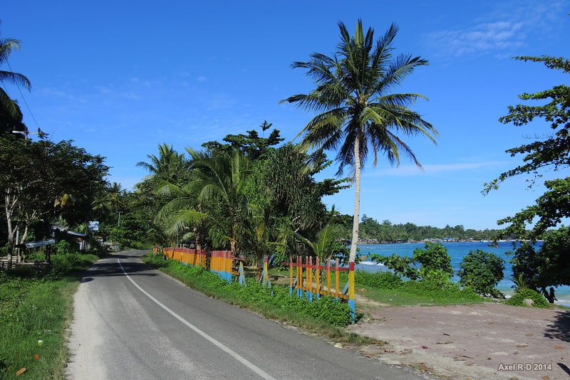 West Papua Revokes Quarter of a Million Hectares of Land From Palm Oil