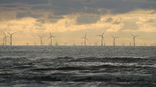 Why Offshore Wind Power is So Hot Right Now