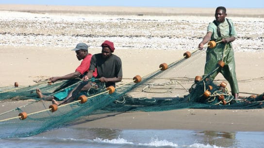 Why Namibia’s Marine Resource Act Considered One of The Most Successful Fisheries Management Policy In The World